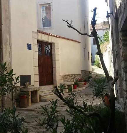 Ani Vela Luka