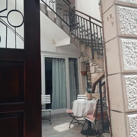Ani Vela Luka