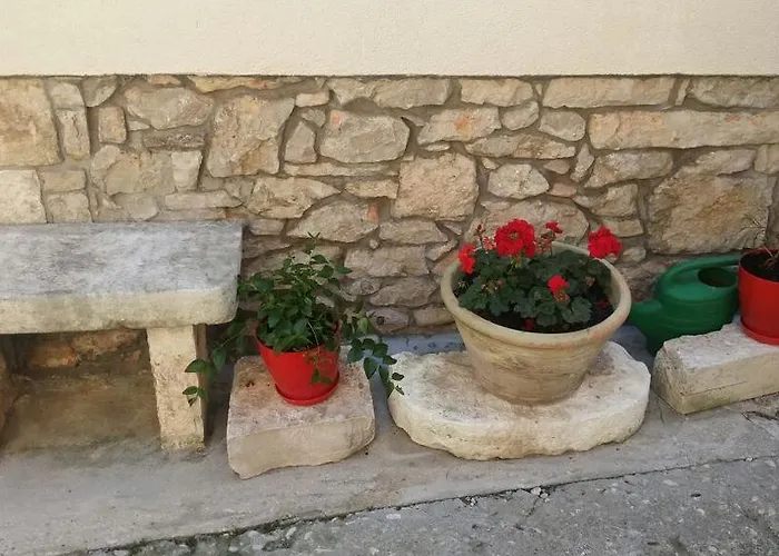 Apartman Ani Vela Luka