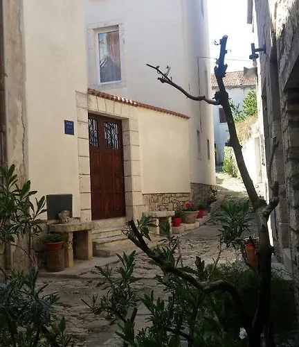Ani Vela Luka