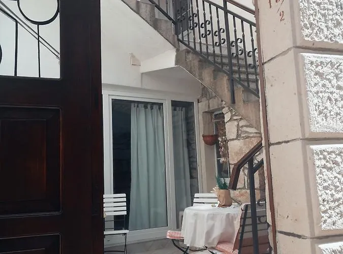 Ani Vela Luka
