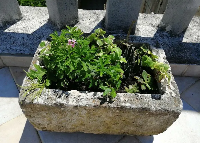 Apartman Ani Vela Luka