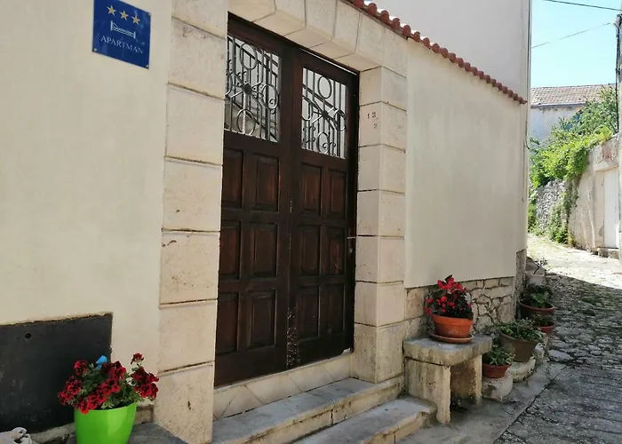 Ani Vela Luka